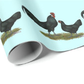 Augsburger Chickens Cadeaupapier (Rol Hoek)