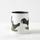 Augsburger Chickens Mok (Midden)