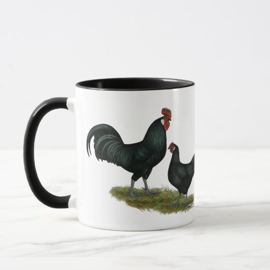 Augsburger Chickens Mok (Links)