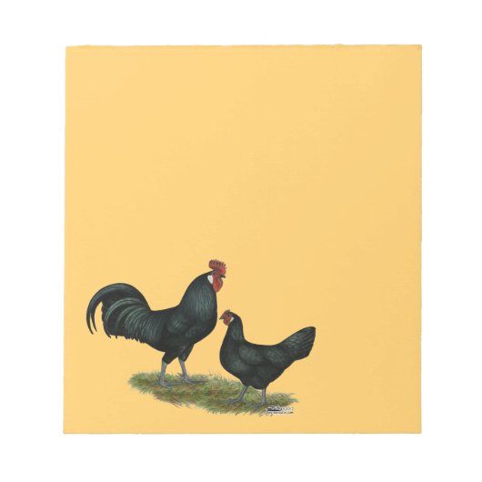 Augsburger Chickens Notitieblok (Voorkant)