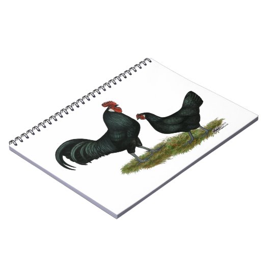 Augsburger Chickens Notitieboek (Linkerzijde)