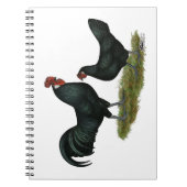 Augsburger Chickens Notitieboek (Voorkant)