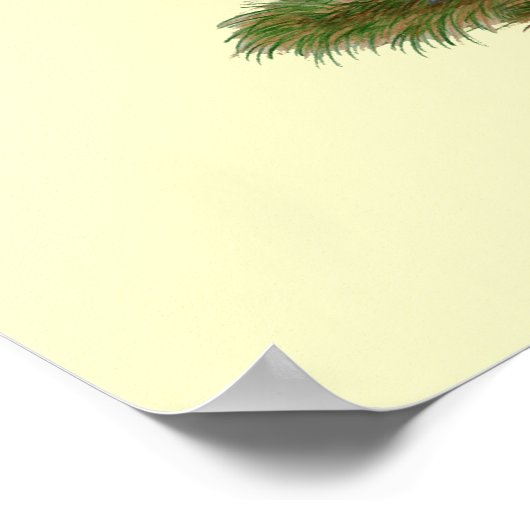 Augsburger Chickens Poster (Hoek)