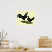 Augsburger Chickens Poster (Keuken)
