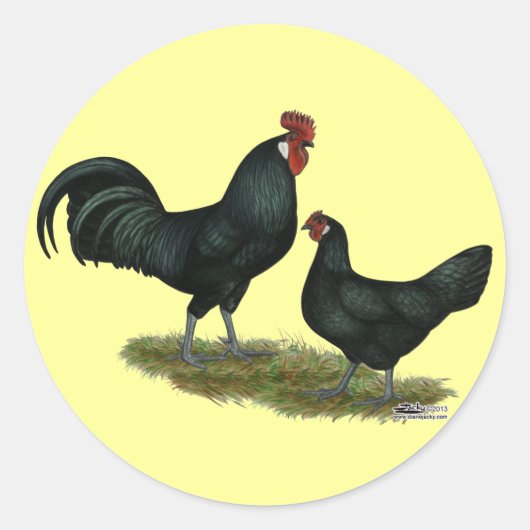 Augsburger Chickens Ronde Sticker (Voorkant)