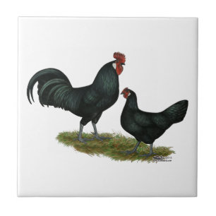 Augsburger Chickens Tegeltje