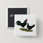 Augsburger Chickens Vierkante Button 5,1 Cm (Voorkant /achterkant)
