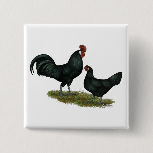 Augsburger Chickens Vierkante Button 5,1 Cm