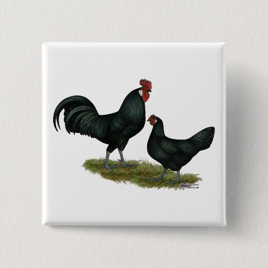 Augsburger Chickens Vierkante Button 5,1 Cm (Voorkant)