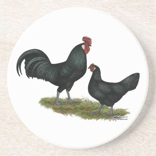 Augsburger Chickens Zandsteen Onderzetter (Voorkant)