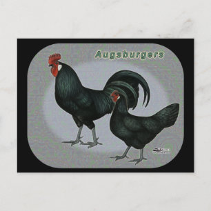 Augsburger Fowl Briefkaart