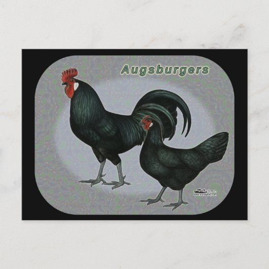 Augsburger Fowl Briefkaart (Voorkant)