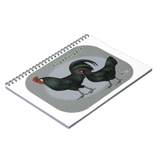 Augsburger Fowl Notitieboek (Linkerzijde)