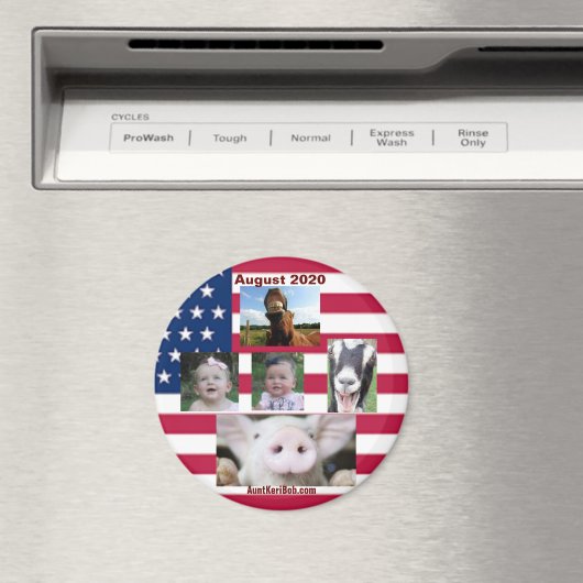 August 2020 magneet (Insitu (Vaatwasser))