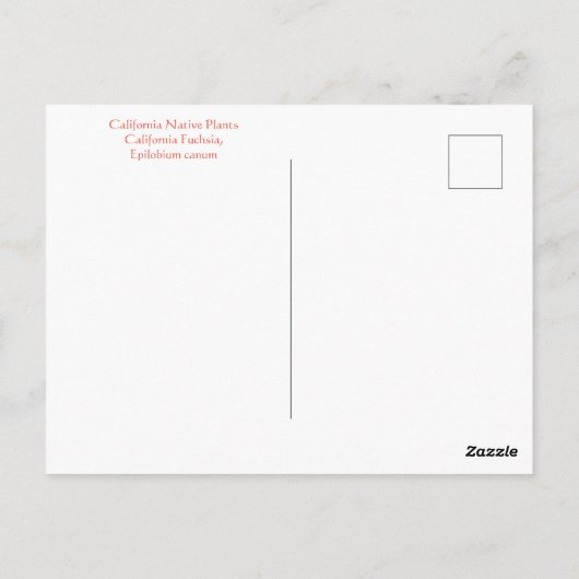 August Ablaze Briefkaart (Achterkant)