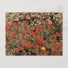 August Ablaze Briefkaart