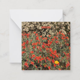 August Ablaze Notitiekaartje