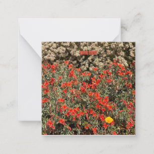 August Ablaze Notitiekaartje