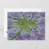 August Agapanthus Briefkaart (Voorkant / Achterkant)