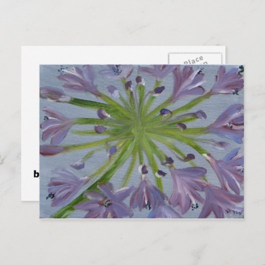 August Agapanthus Briefkaart (Voorkant / Achterkant)