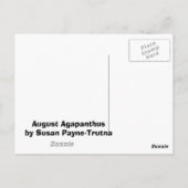 August Agapanthus Briefkaart (Achterkant)