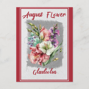 August Bloem Gladiolus Bloemen Briefkaart