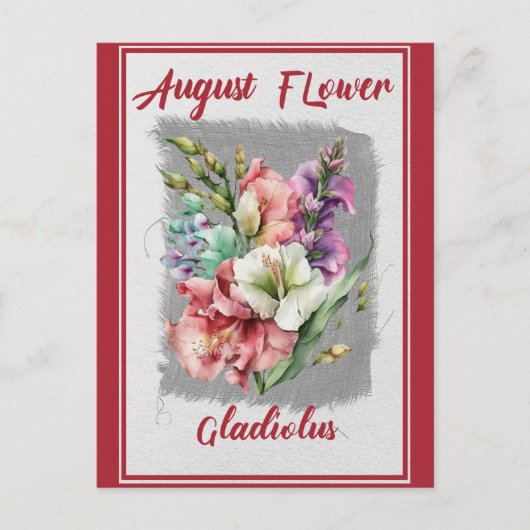 August Bloem Gladiolus Bloemen Briefkaart (Voorkant)