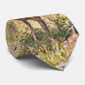 August Bucks Stropdas (Opgerold)