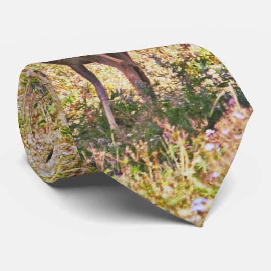 August Bucks Stropdas (Opgerold)