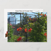 August Garden Briefkaart (Voorkant / Achterkant)