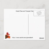 August Garden Briefkaart (Achterkant)