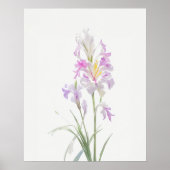 August Gladiolus Birth Flower Poster (Voorkant)