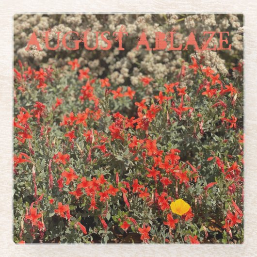 August Glazen Onderzetter (Voorkant)