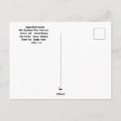 August Leo Verjaardagskaart Briefkaart (Achterkant)