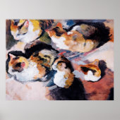 August Macke's Katzenstudien Studie van een kat 19 Poster (Voorkant)