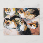 August Macke's Katzenstudien (Studie van een kat) Briefkaart (Voorkant)