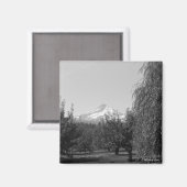 August Mt Hood magneet (Voorkant / Achterkant)
