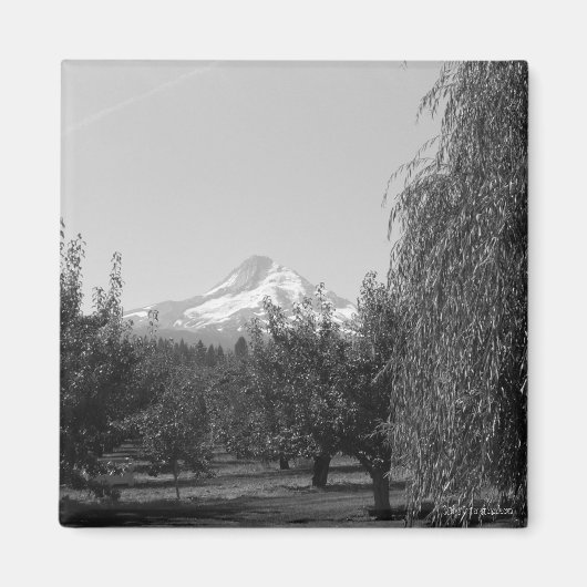 August Mt Hood magneet (Voorkant)