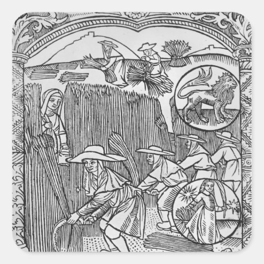 August, oogst, Leo Vierkante Sticker (Voorkant)