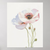 August Poppy Geboorte Bloem Poster (Voorkant)