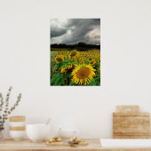 August rain, Sunflower, Print (Keuken)
