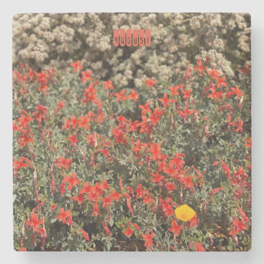 August Stenen Onderzetter (Voorkant)