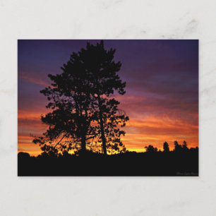 August Sunrise Briefkaart