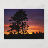 August Sunrise Briefkaart (Voorkant)