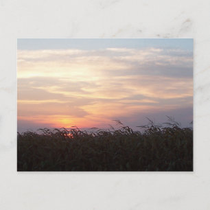 August Sunrise Briefkaart