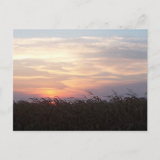 August Sunrise Briefkaart (Voorkant)