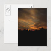 August Sunset Briefkaart (Voorkant / Achterkant)