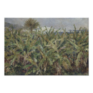Auguste Renoir - Gebied van de bananenbomen Foto Afdruk