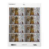 Augustinerkirche, Wenen Oostenrijk Etiket (Full Sheet)