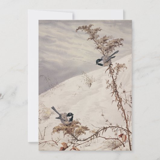 augustus | Fidelia Bridges (Voorkant)